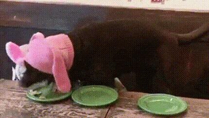 你以为整了个商标就是“品牌”可以杀尽天下跟卖狗？做梦！