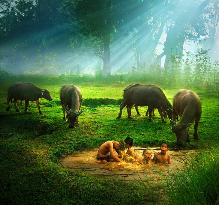 珍禽异兽现状图片,珍禽异兽种类繁多