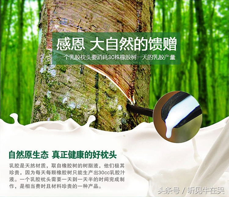 podetex乳胶枕是泰国品牌吗 (泰国deelatex乳胶枕)