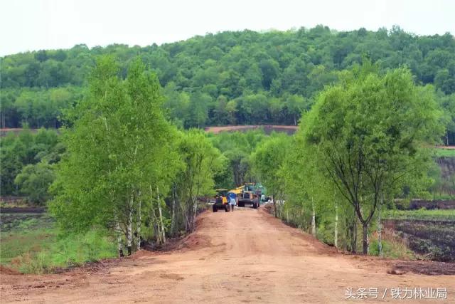 走进森林空气格外清新,走进天然氧吧呼吸新鲜空气