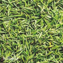 介绍一下湖南岳阳,湖南岳阳有什么出名的地方吗