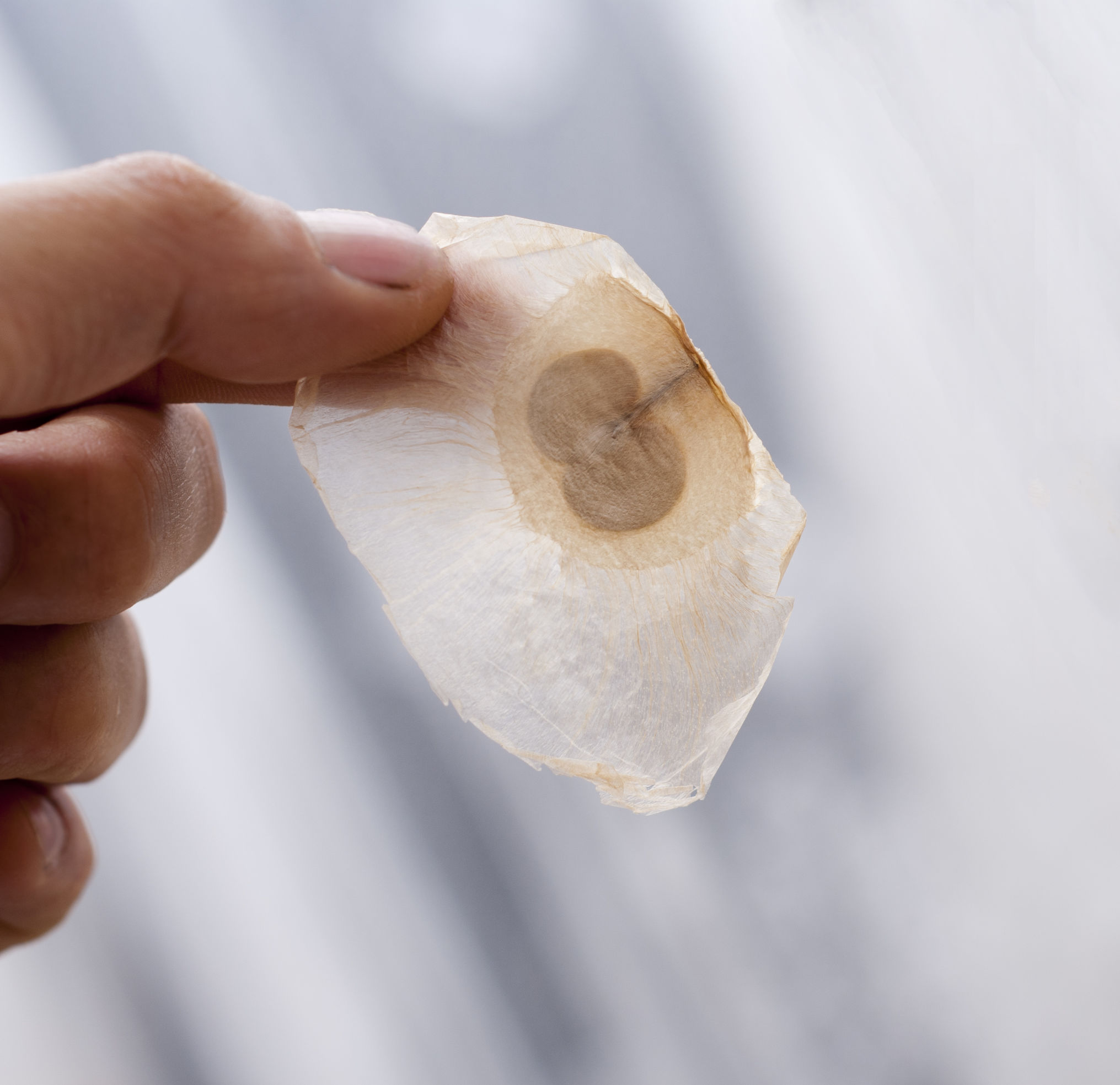 咽炎严重喝什么茶,咽炎喝点酒怎么就好了