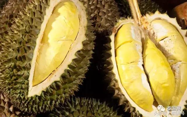 泰国发现榴莲危机,泰国榴莲危机事件