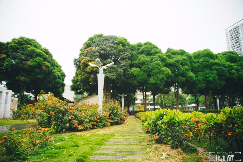 南宁青少年宫老照片,南宁市西乡塘区少年宫