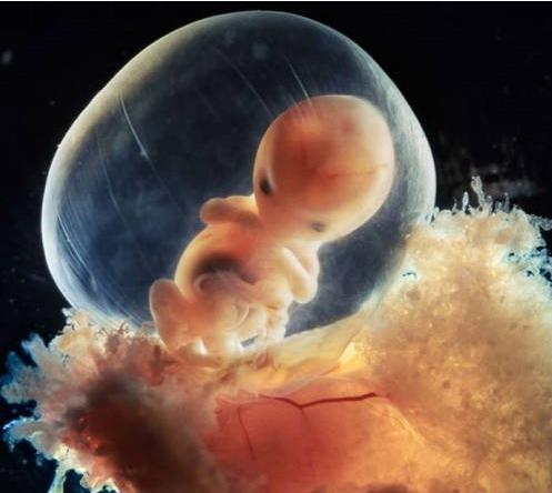 孕早期多久做一次b超比较合适,孕期一共要做几次b超合适