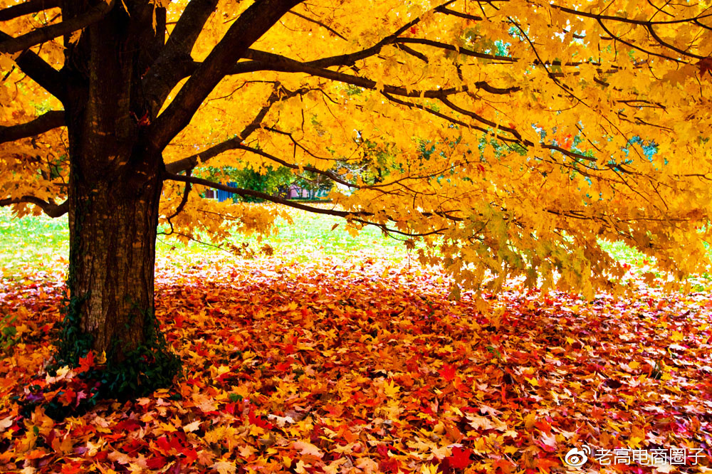 玩转流量的技巧,如何玩转流量任务