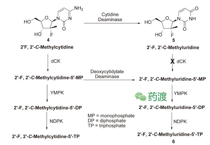 丙肝新药索非布韦为什么这么贵,丙肝新药索非一疗程需要多少钱