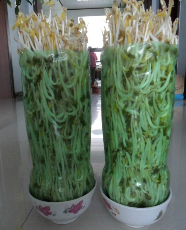 公公背着儿媳重操旧业，意外成为小区大妈们心中男神