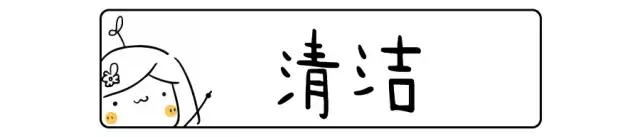 无限回购的神仙粉饼,一直回购实惠的粉饼