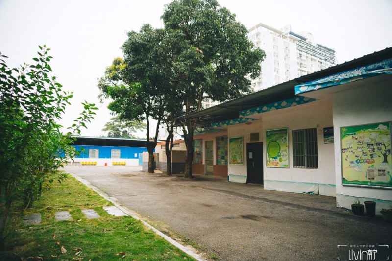 南宁市少年宫视频,南宁少年宫美好回忆