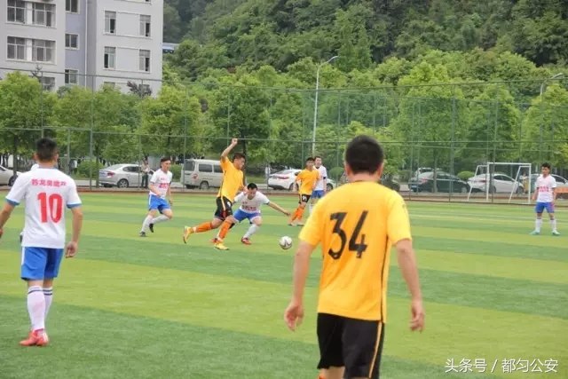 绿茵场上青春飞扬原唱,警队健儿展雄风