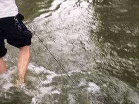 足坛那些燃爆全场的凌空抽射,足坛上不可思议的凌空抽射