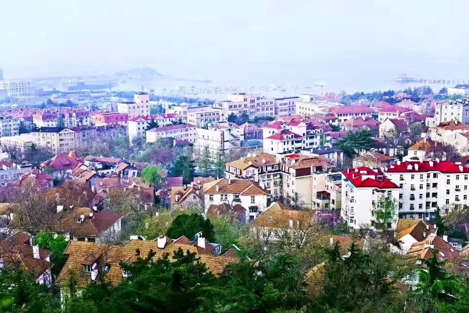 山语青岛崂山绿茶,山语散话100句