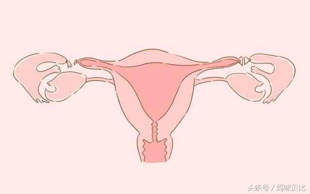 孕早期如何根据b超单看天数,孕检报告显示几胎