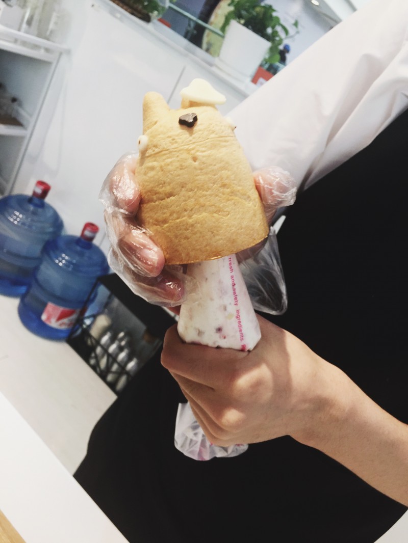 宫崎骏龙猫真实场景,龙猫宫崎骏背后的秘密