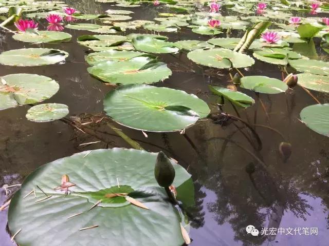 安徽铜陵永泉农庄在哪里,永泉生态农庄