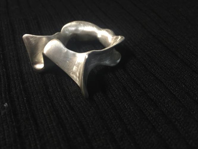 北京工业大学事件,北京工业大学研究生事件