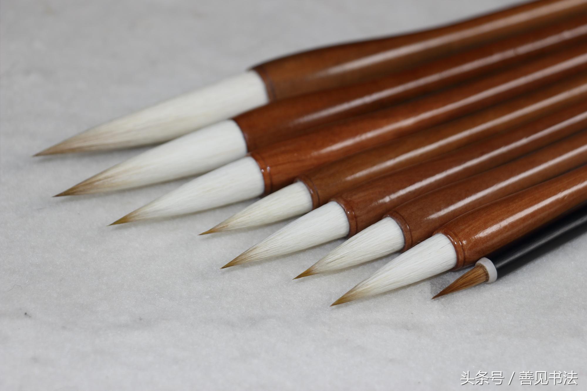 毛笔的种类及特点,毛笔一共有多少种书体