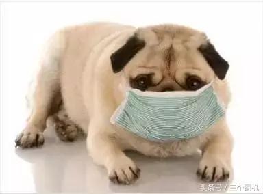 这事儿搞不清,你就真的是用绳命在开车