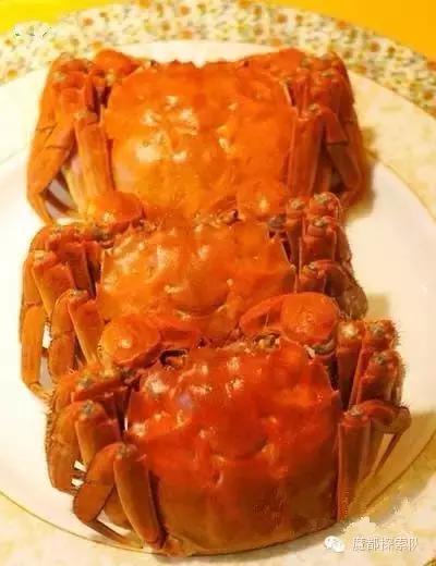 上海十大必吃餐厅排名,舌尖上的上海十大老字号