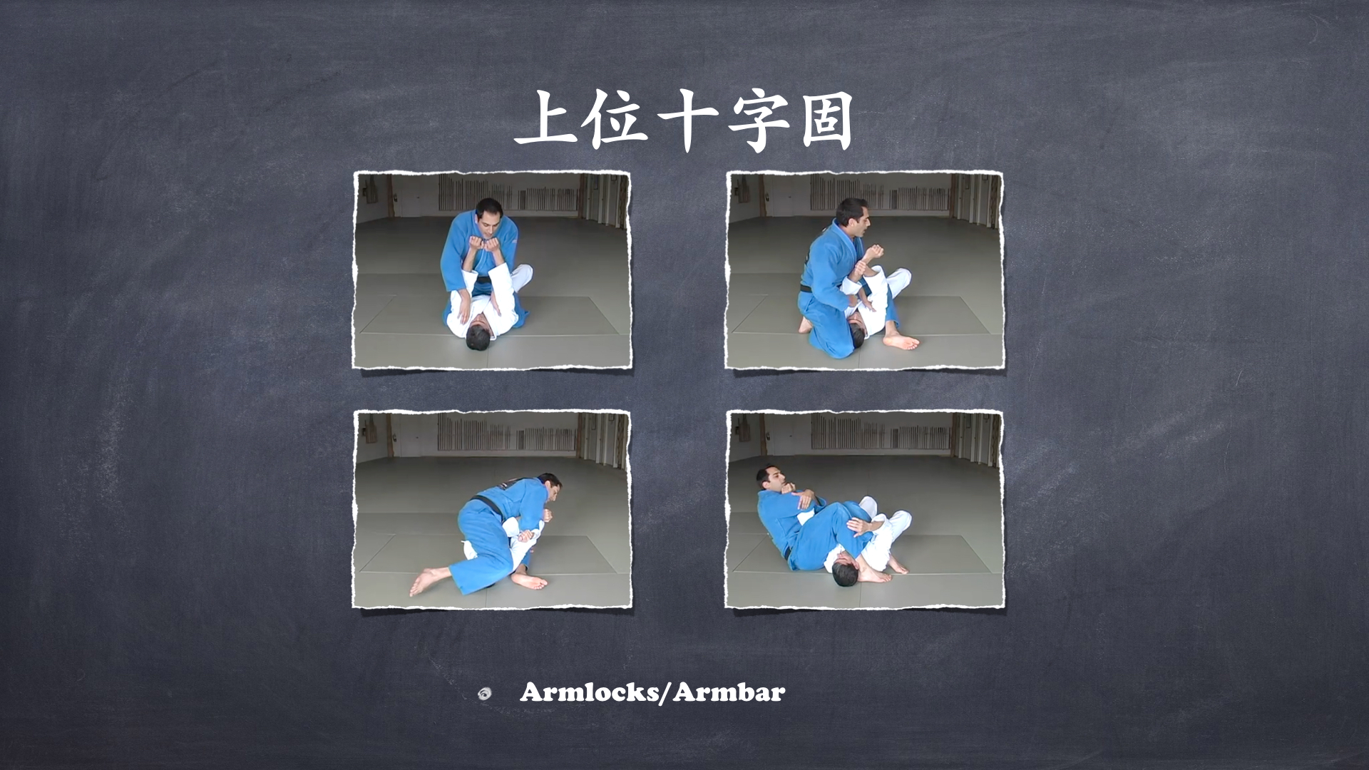 RoyDeans巴西柔术蓝带技术学习大纲