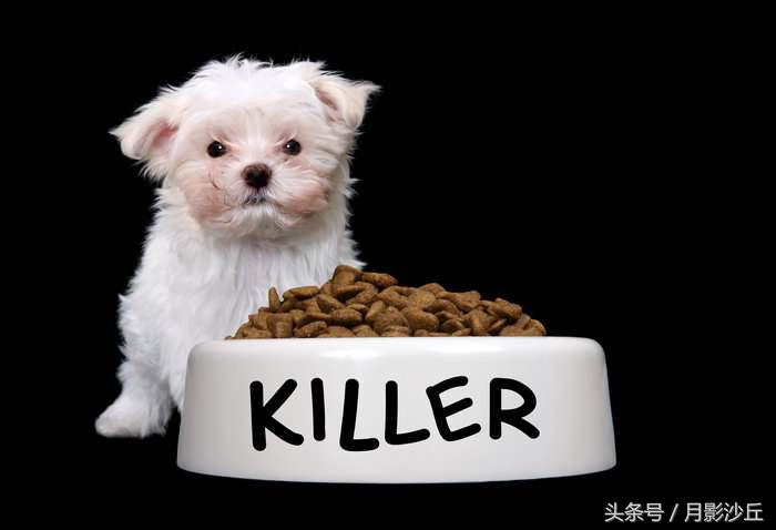 怎么给狗狗挑合适的狗粮,怎样为狗狗挑选合适的狗粮