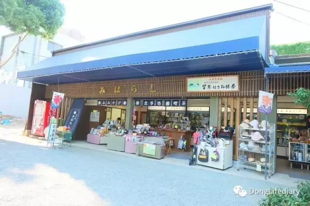 去日本北九州好吗,北九州看樱花