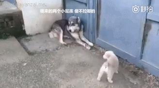 咽口水强迫症,总是想咽口水强迫症