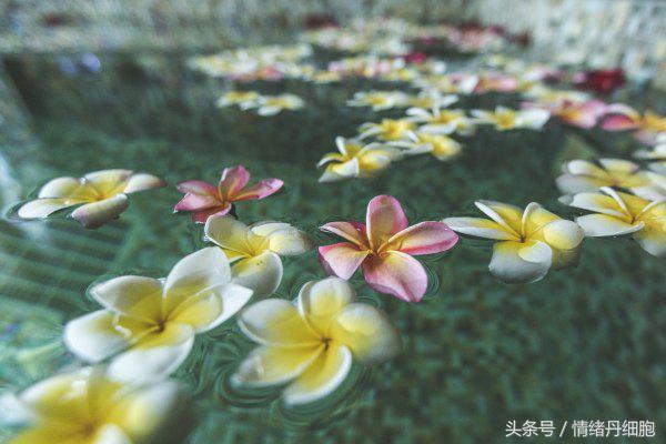 三亚美高梅度假酒店附近景点,三亚美高梅度假酒店日落