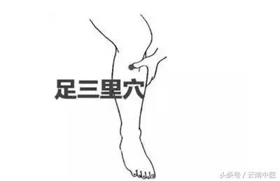 胃不好用什么泡水喝可以养胃,胃不好早上吃什么养胃又营养