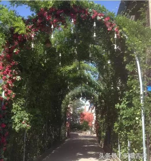 洛阳街头深藏的7家神级餐馆,深藏在合肥巷子里的11家神级馆子