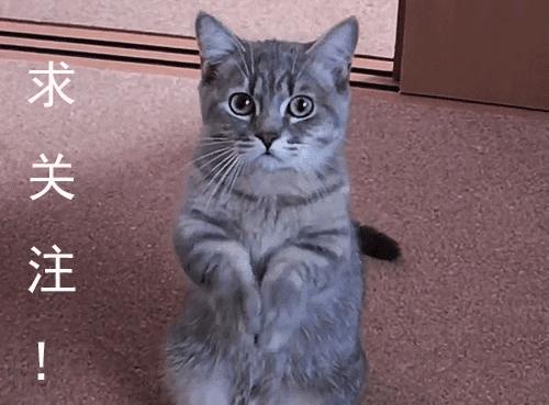 民国第一任真正的总统,最有钱的民国总统