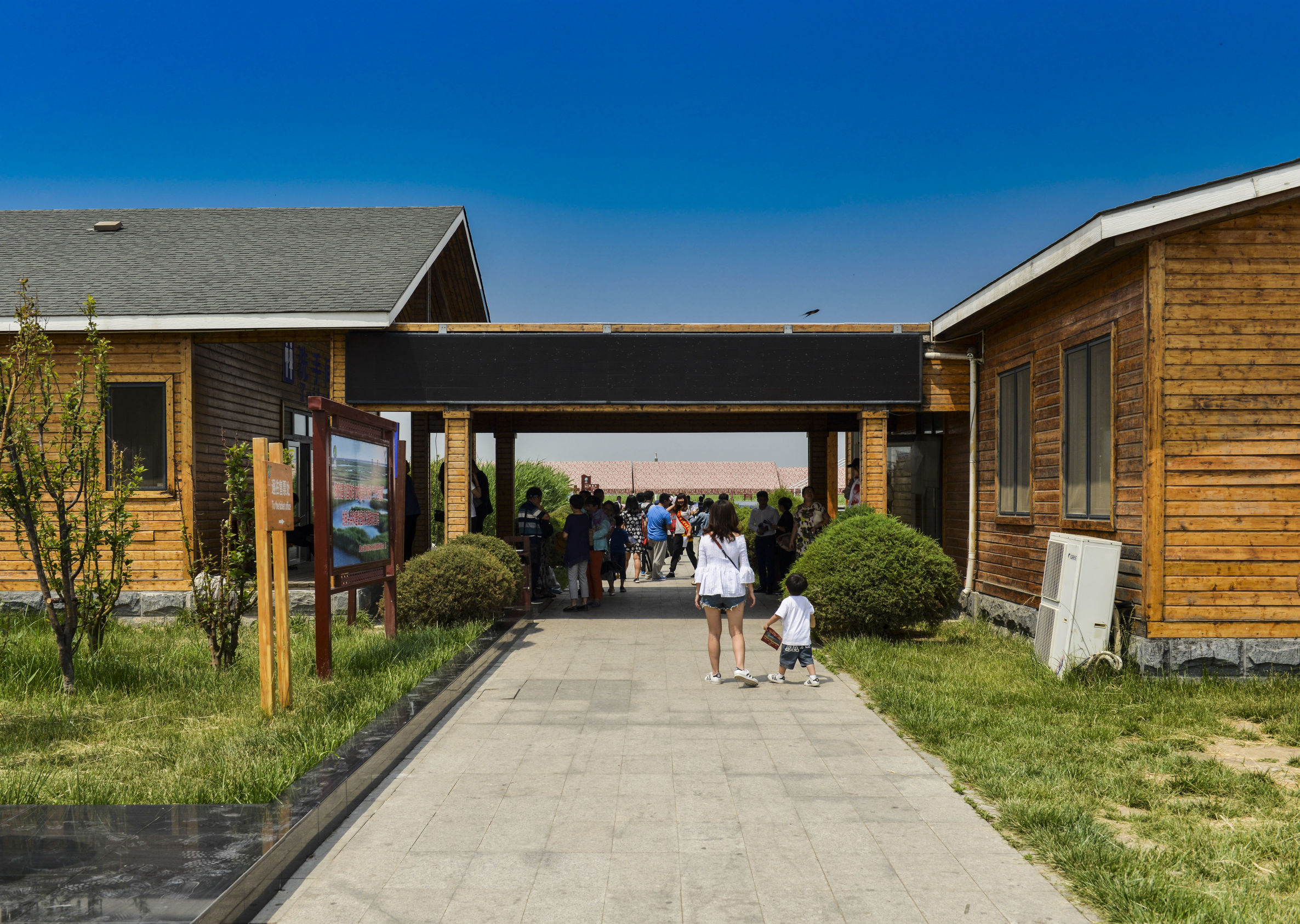 曹妃甸曹妃事件,曹妃甸区曹妃