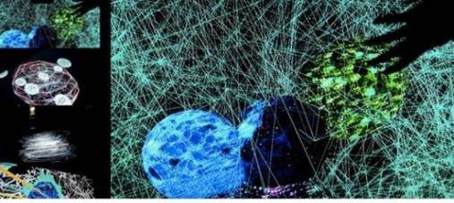 独家｜一文读懂数据可视化