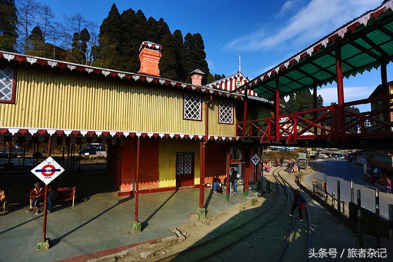 印度大吉岭红茶有几个品牌,印度大吉岭红茶品种