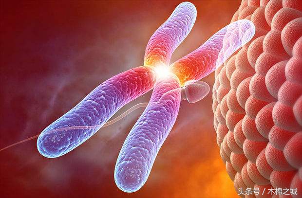 生男生女能随心所欲,生男生女可以随心所欲