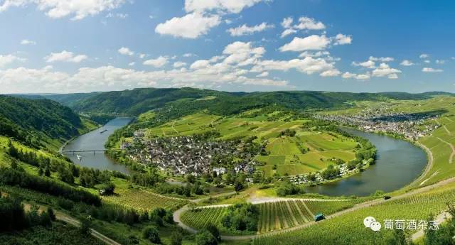 哪款雷司令最好,新手买哪款雷司令