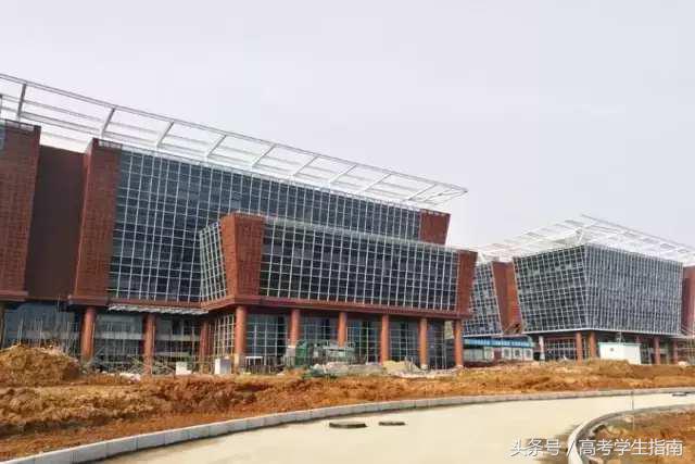 这所大学火了！是全国首家也是唯一一家开设这个专业的高校！