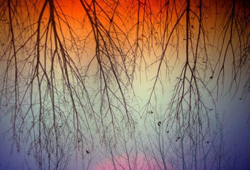 最没前途的五种员工,老板眼中哪种员工最有前途