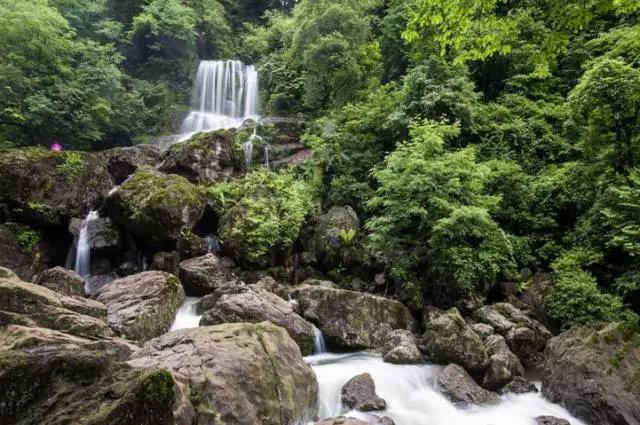 成都周边免费森林自然景点,成都森林避暑好去处
