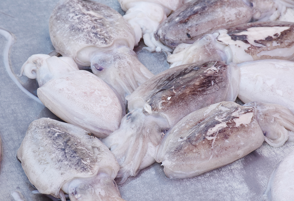 经典海鲜摄影图片,鲜活海鲜摄影技巧