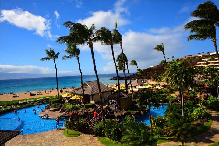 骨灰级探险视频,水上运动场夏威夷maui岛浮潜