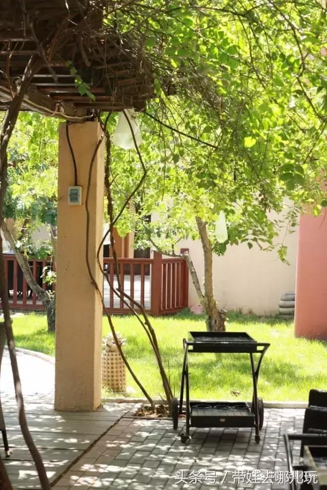 性价比高的亲子酒店推荐,性价比高又好住的酒店