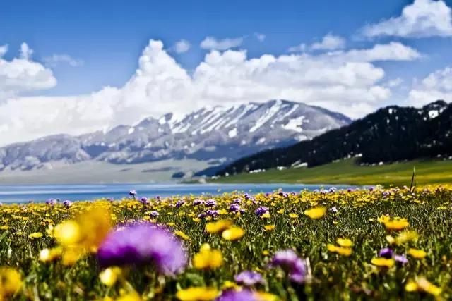 新疆南北疆大环线风景旅游专列,北京去新疆沿途风景