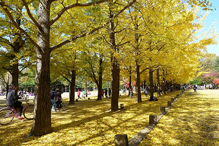 十大求婚地方,浪漫表白的地方哪里最适合