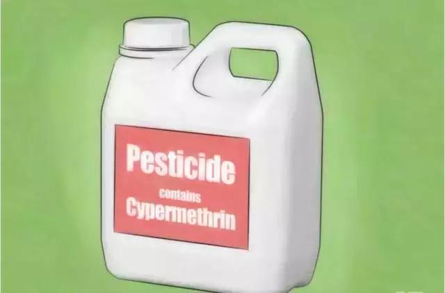 小苏打灭蟑螂最快方法,灭蟑螂最有效方法