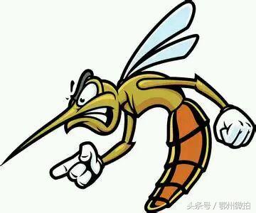 经常用蚊香驱蚊会中毒吗,蚊香驱蚊液中毒