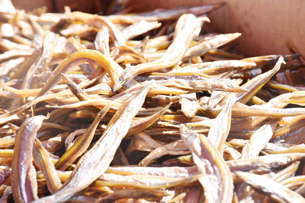 经典海鲜摄影图片,鲜活海鲜摄影技巧