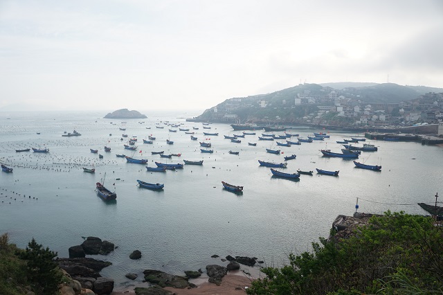 什么时间去枸杞岛最好,冬季坐船去枸杞岛