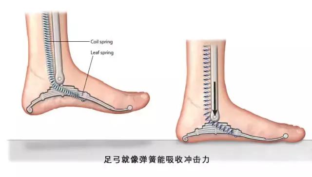 长时间走路脚跟痛怎么解决,足弓和脚后跟痛怎么回事